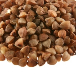 Buckwheat groats up close
