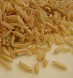 Brown rice up close